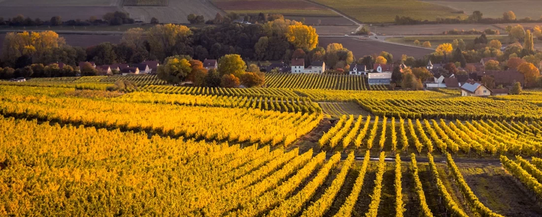 oad-trip-agricole-1